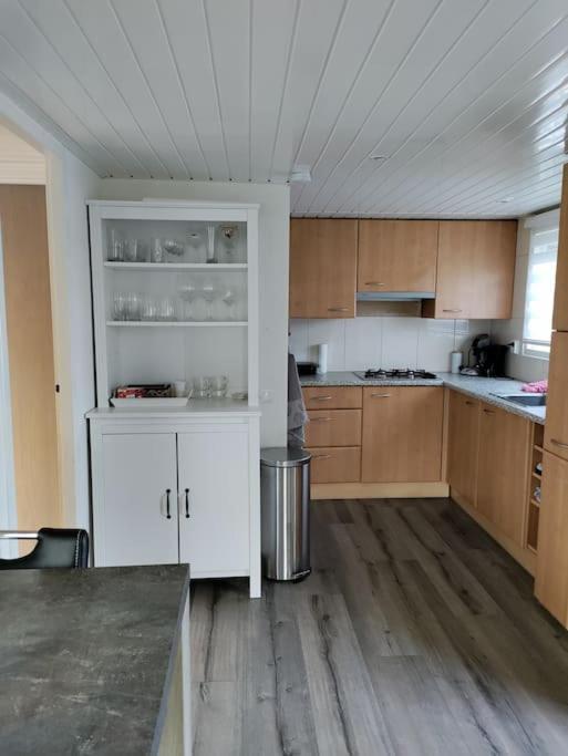 Chalet Midden In De Natuur! Anloo Екстериор снимка